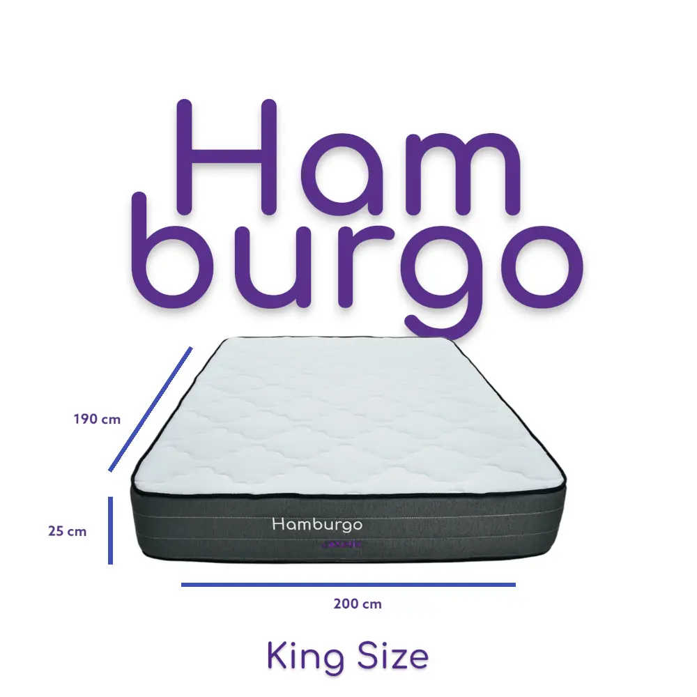 hamburgo ks-Photoroom.webp