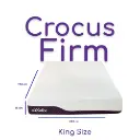 Crocus firm -indi-Photoroom.webp