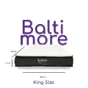 Baltimore QS (copia).webp