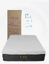 Diseño sin título (25).webp